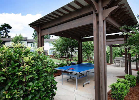 ping pong table at Avia Apartments in Vestavia Hills, AL