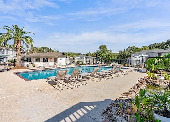 A pool area with chairs and a palm tree.