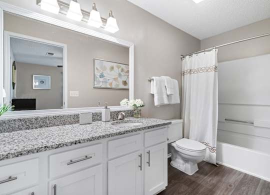 Bathroom features granite counters, wood-look flooring and vanity lighting at Summerchase at Riverchase in Hoover, Alabama