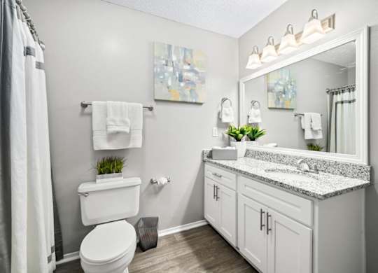 Bathroom features granite counters, wood-look flooring and vanity lighting at Summerchase at Riverchase in Hoover, Alabama
