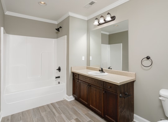 an esuite bathroom with large countertop and vanity at The Oakley at Deerfield Apartments in Florence, AL
