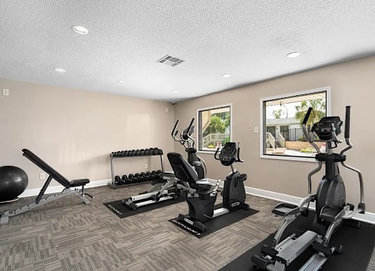 A home gym with a variety of equipment including a treadmill, exercise bike, and weights.