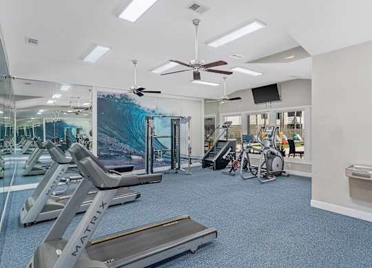 A gym with treadmills, exercise bikes, and other equipment.