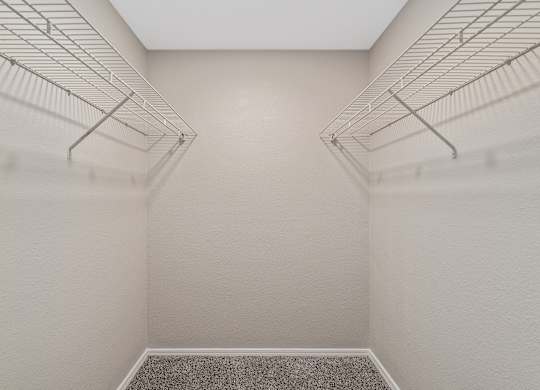 Empty walk-in closet with white walls and carpeted floor.