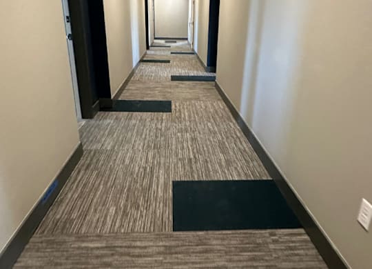 A hallway with carpeted floor at the Fitzroy Apartments in Birmingham, Alabama.