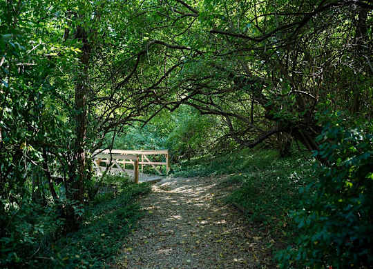 Saddlebrook at Tates Creek