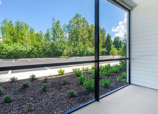 A view of a garden through a sliding glass door.
