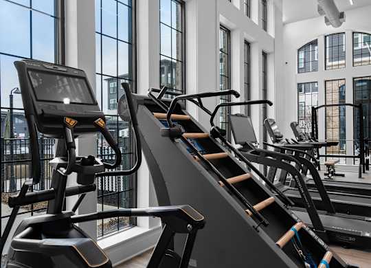 A gym with treadmills and elliptical machines.