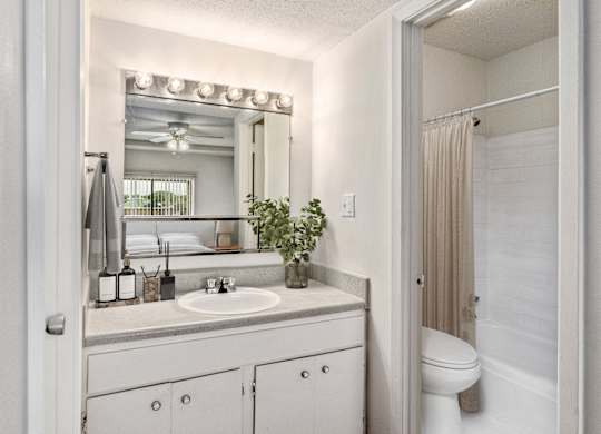 A bathroom with a white sink and a mirror above it.