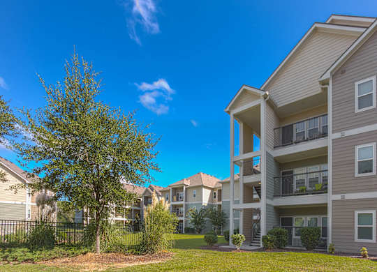 A tree is in the front yard of a building.
