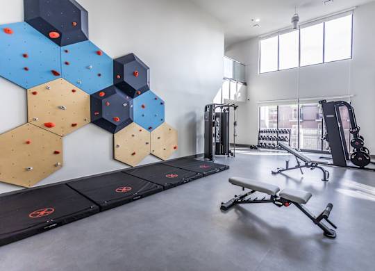 Butchertown, KY Apartments - Martin On Main - Gym With Rock Climbing Wall, Workout Bench, Strength Training Machines, Weights, And Workout Mats