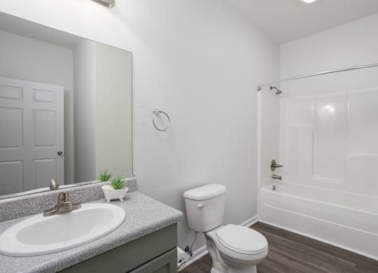 A white toilet sits next to a sink in a bathroom.