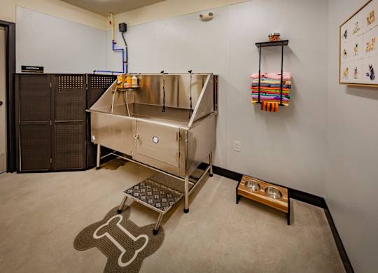 A stainless steel pet spa for dog washing at Wesley Place Apartments in Indianapolis, IN