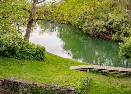 A serene landscape with a tree, a lake, and a wooden bench at Saddlebrook at Tates Creek Apartments in Lexington, KY