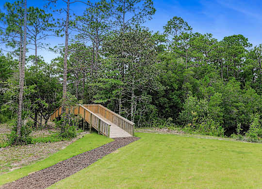 A wooden deck leads through a grassy area to a forest.