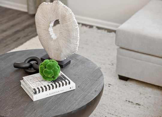 A white coral-shaped object sits on a table next to a green ball and a book.