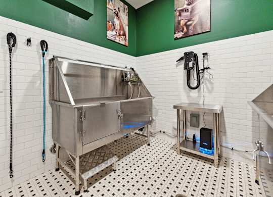 a stainless steel sink in a bathroom with green walls