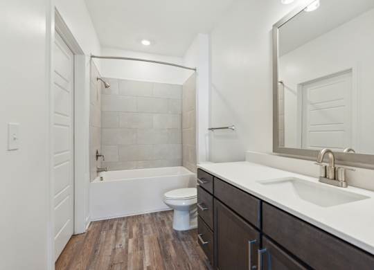 a bathroom with a sink and a toilet and a shower