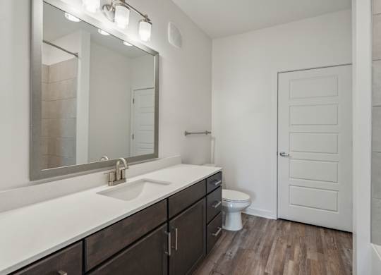 a bathroom with a sink and a mirror and a toilet