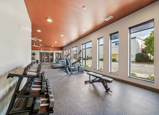 A gym with a row of treadmills on the left and a row of weight machines on the right.