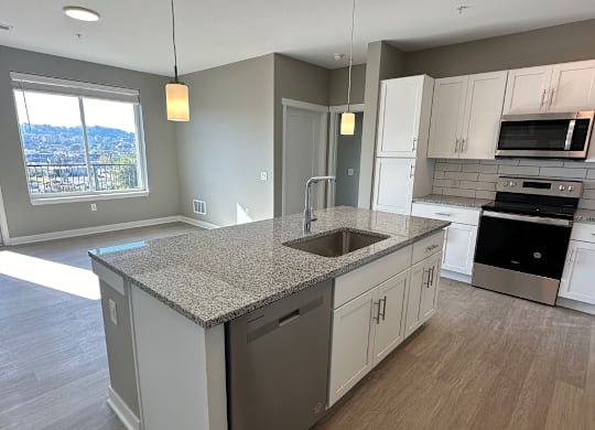 A kitchen with a granite countertop and stainless steel appliances.