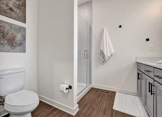 Modern bathroom with double vanity, stand up shower and plank flooring at West Row Lofts and Townhomes in Birmingham, AL
