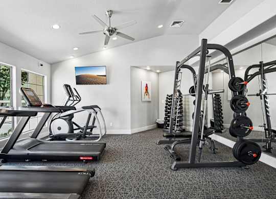 A spacious gym with treadmills, elliptical machines, and weightlifting equipment.