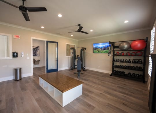 a home gym with a lot of equipment and a tv