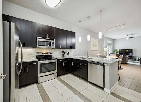 A modern kitchen with black cabinets and stainless steel appliances.