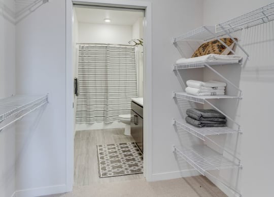 Flats closet with built in shelving and racks