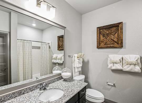 A bathroom with a marble counter top and a large mirror.