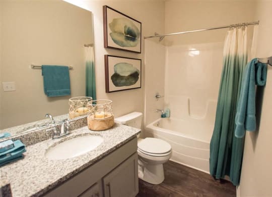 a bathroom with a sink and a toilet and a shower