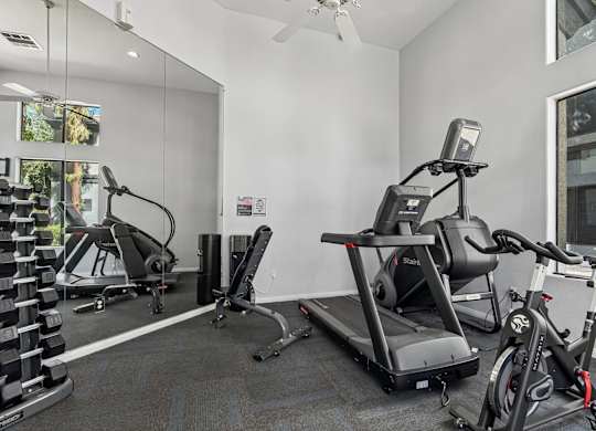 A room with a treadmill, a stationary bike, and a weight rack.