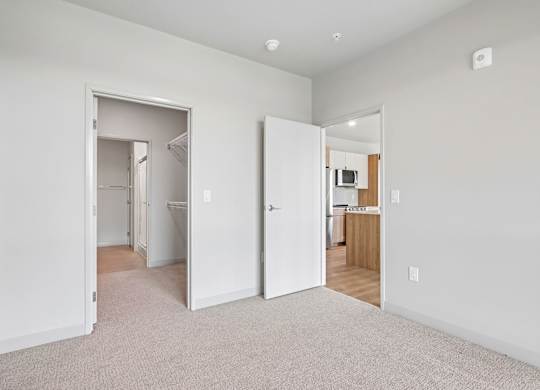 A white room with a carpeted floor and two open doors.