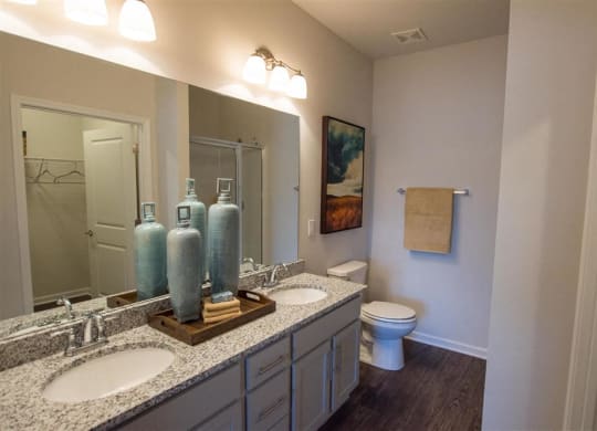a bathroom with two sinks and a toilet