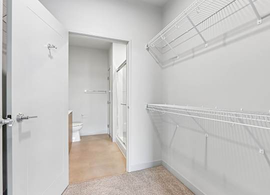A white room with a walk-in closet and a toilet in the background.