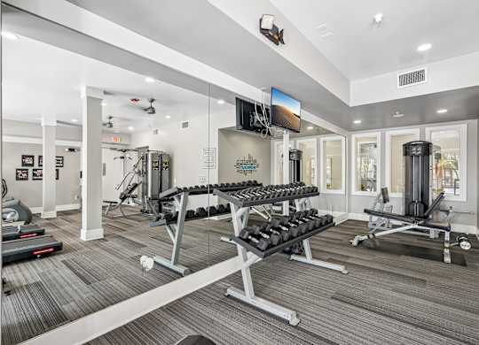 A gym with a variety of equipment including treadmills, weights, and exercise machines.