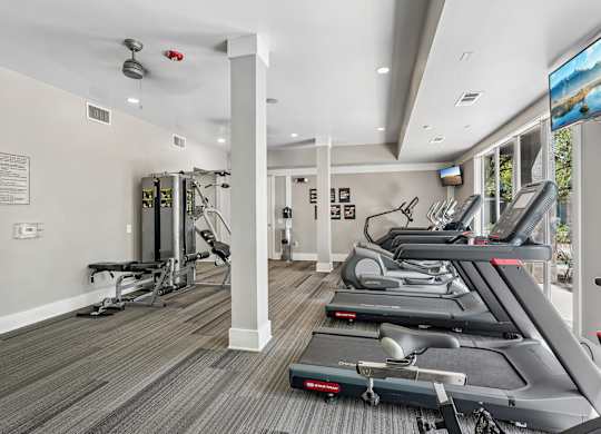 A gym with treadmills, weights, and exercise equipment.