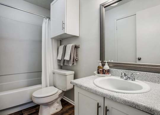 a bathroom with a sink toilet and a mirror