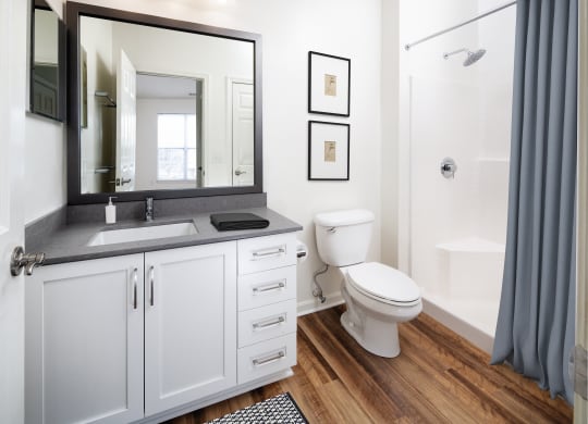 Bathroom with vanity, toilet and shower/tub