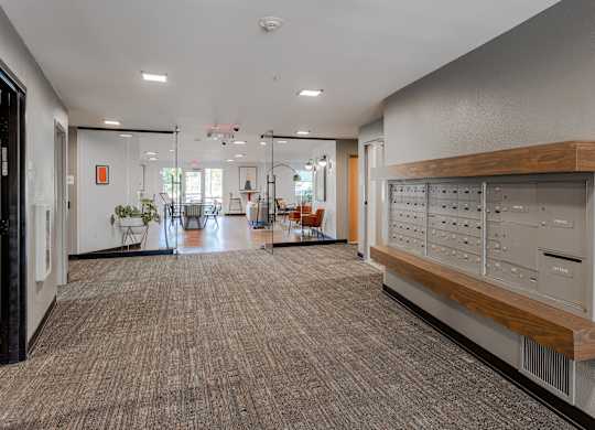 a hallway with a rug and a cabinet with drawers