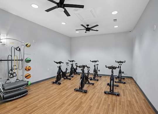 A room with a white wall and a wooden floor with a row of exercise bikes.