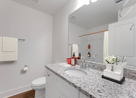 A bathroom with a white toilet and a marble countertop.