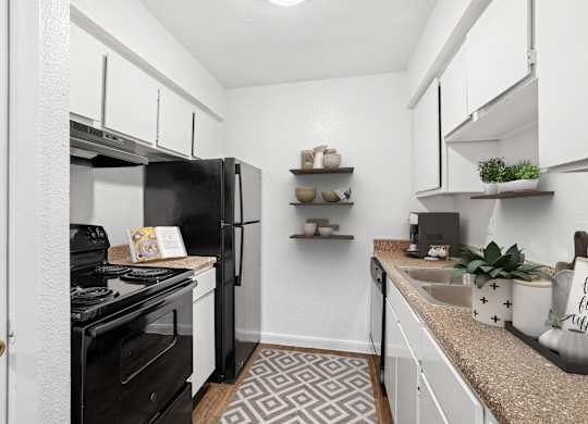A black and white kitchen with a patterned rug on the floor.