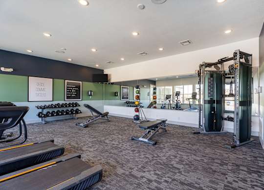 A gym with treadmills, weights, and exercise equipment.