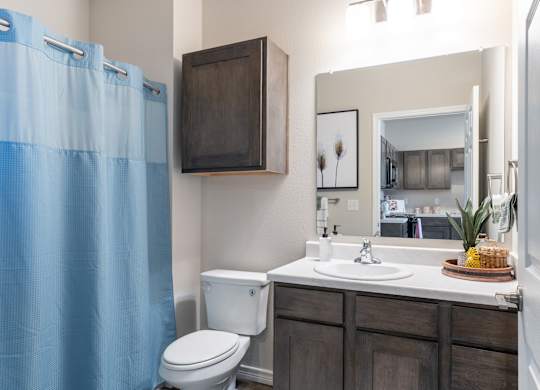 A bathroom with a white toilet and a blue shower curtain.