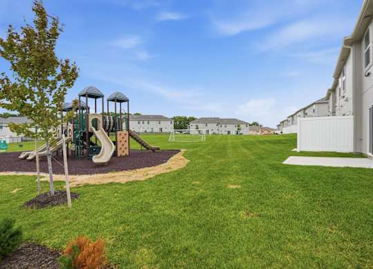 A playground with a slide and a tree in the foreground.