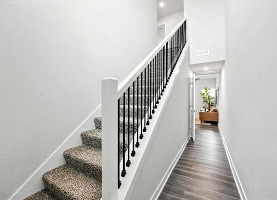 A staircase with a black railing and beige carpeted steps.