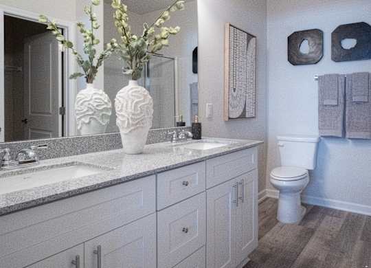 Primary bathroom with double vanity, walk-in shower and walk-in closet.