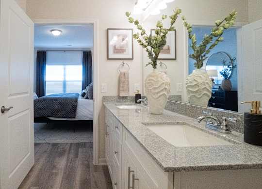 Primary bathroom with double vanity and walk-in closet